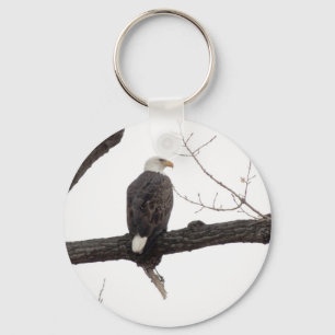 Weißkopfseeadler Schlüsselanhänger
