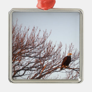 Weißkopfseeadler-Schmuck Ornament Aus Metall