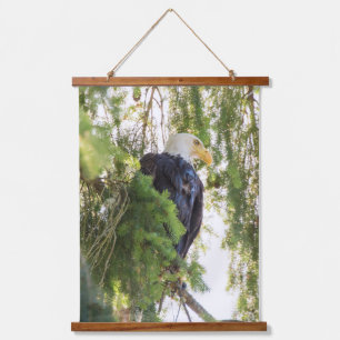 Weißkopfseeadler sitzt auf Douglasie Wandteppich Mit Holzrahmen
