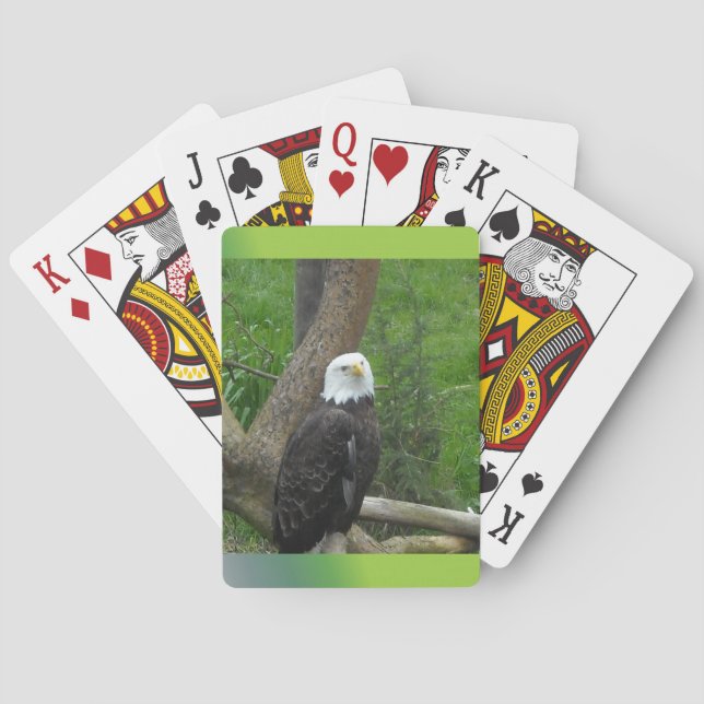 Weißkopfseeadler Spielkarten (Rückseite)