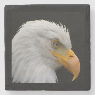 Weißkopfseeadler Steinuntersetzer