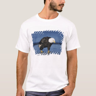 Weißkopfseeadler T-Shirt