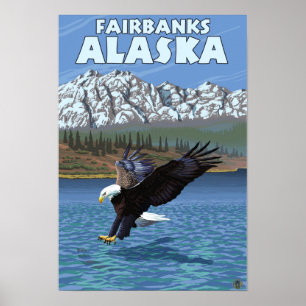 Weißkopfseeadler-Tauchen - Fairbanks, Alaska Poster