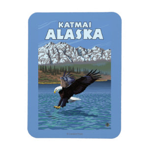 Weißkopfseeadler-Tauchen - Katmai, Alaska Magnet