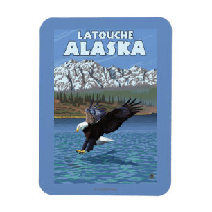 Weißkopfseeadler-Tauchen - Latouche, Alaska Magnet