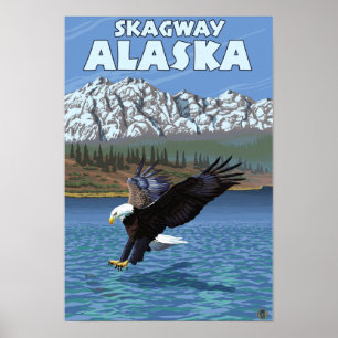 Weißkopfseeadler-Tauchen - Skagway, Alaska Poster