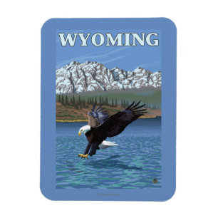 Weißkopfseeadler-Tauchen - Wyoming Magnet