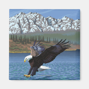 Weißkopfseeadler-Tauchen - Yellowstone Magnet