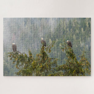 Weißkopfseeadler   Tongass National Forest Alaska Puzzle