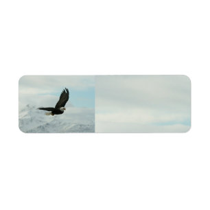 Weißkopfseeadler u. Berge