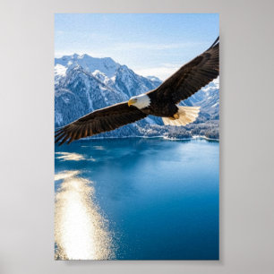 Weißkopfseeadler über Bergsee Mattposter Poster