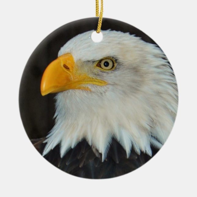 Weißkopfseeadler-Verzierung Keramik Ornament (Vorne)