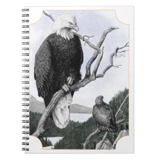 Weißkopfseeadler-Vintage-Illustration Notizblock