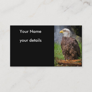 Weißkopfseeadler-Visitenkarten Visitenkarte