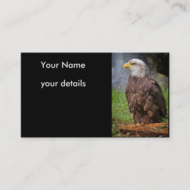 Weißkopfseeadler-Visitenkarten Visitenkarte (Vorderseite)