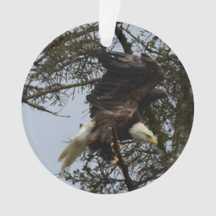 Weißkopfseeadler von Alaska USA Ornament