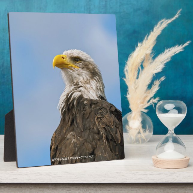 Weißkopfseeadler-Wildnis-Porträtkunst Fotoplatte (Seite)