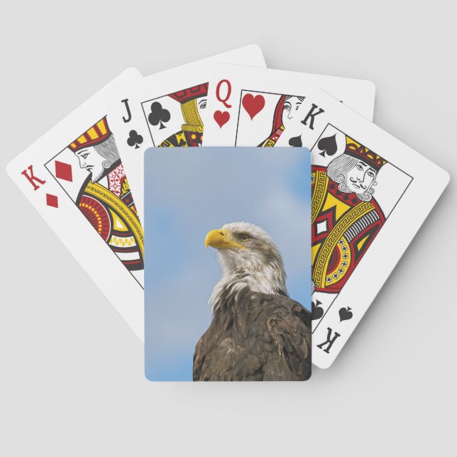 Weißkopfseeadler-Wildnis-Porträtkunst Spielkarten (Rückseite)
