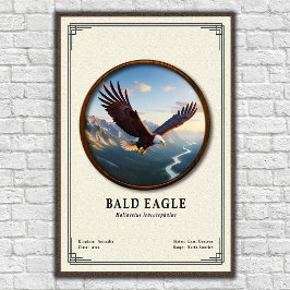Weißkopfseeadler-Zoologie-Serie Poster