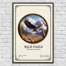 Weißkopfseeadler-Zoologie-Serie Poster