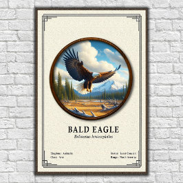 Weißkopfseeadler-Zoologie-Serie Poster