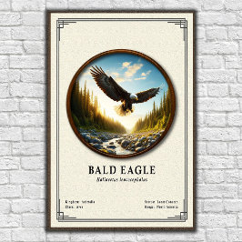 Weißkopfseeadler-Zoologie-Serie Poster