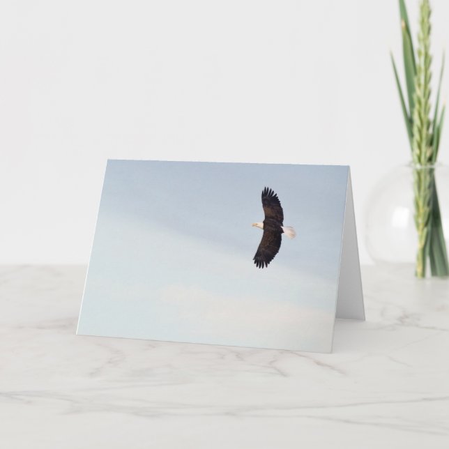 Weißkopfseeadlerfliegen Karte (Vorderseite)