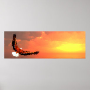 Weißkopfseeadlerfliegen Poster