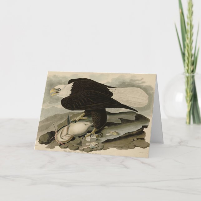Weißkopfvögel (Bald-Adler) Audubon-Vögel aus Ameri Karte (Vorderseite)