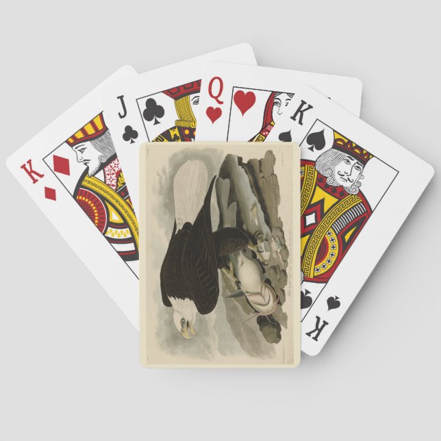 Weißkopfvögel (Bald-Adler) Audubon-Vögel aus Ameri Spielkarten (Rückseite)