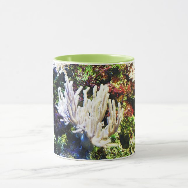 Weißkoralle Tasse (Zentrum)