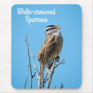 Weißkronenammer Mousepad