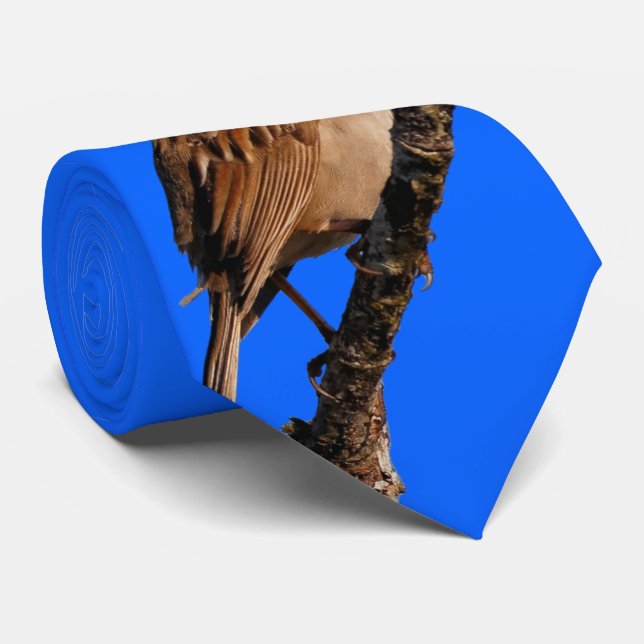 Weißkronenspangen an der Sonne Krawatte (Gerollt)