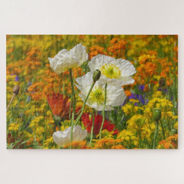Weißmohn, die um die farbenfrohen Blume wachsen Puzzle (Horizontal)
