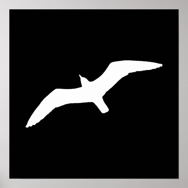 Weißmöwe Poster (Vorne)