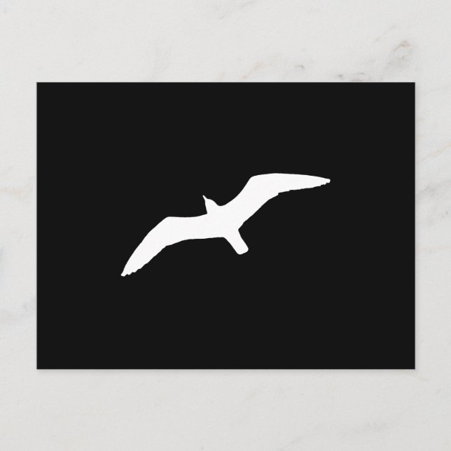 Weißmöwe Postkarte (Vorderseite)