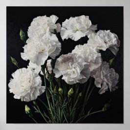 Weißnelken Blume Art Print Poster