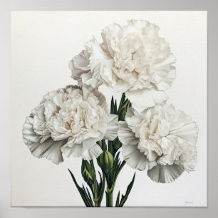 Weißnelken Blume Art Print Poster