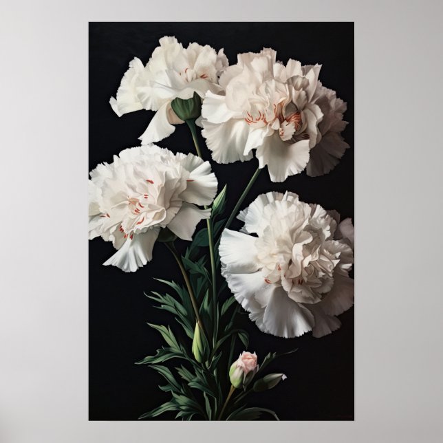 Weißnelken Blume Art Print Poster (Vorne)