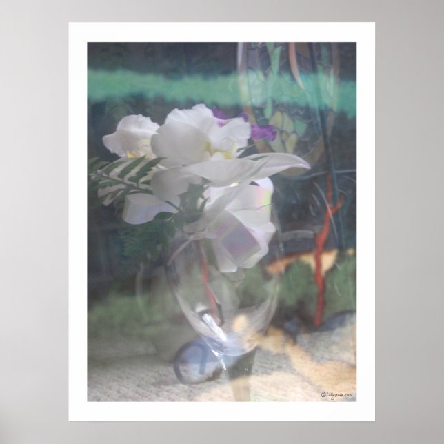 Weißorchid-Blume Bouquet-Plakatdrucke Poster (Vorne)