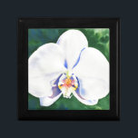 Weißorchid Erinnerungskiste<br><div class="desc">Original romantisch weiß orchid Aquarellmalerei von H Cooper</div>