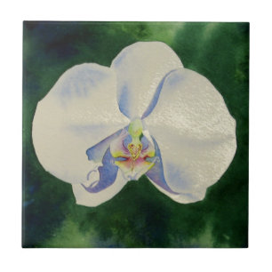 Weißorchid Fliese
