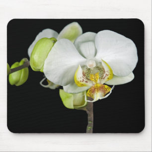 Weißorchid Mousepad