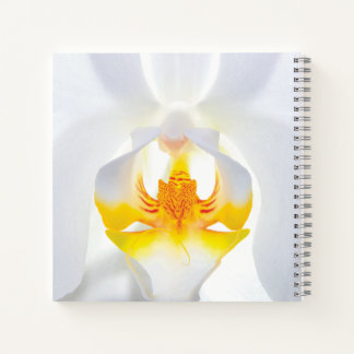 Weißorchid Notizbuch