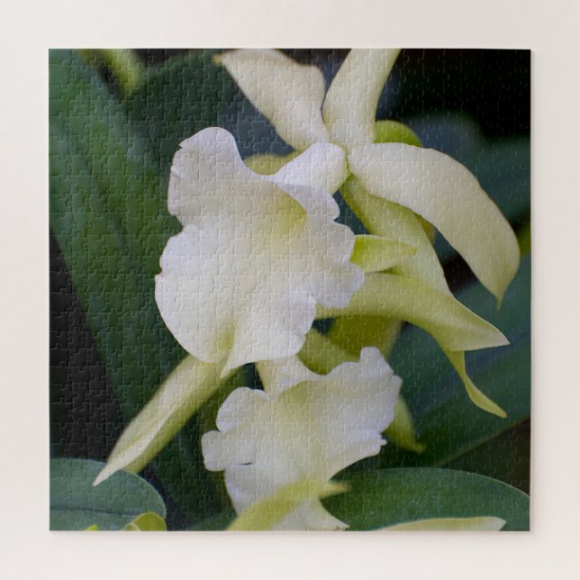 Weißorchid Puzzle (Vertikal)