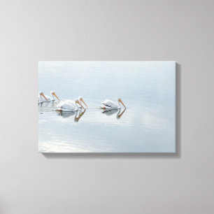 Weißpelikanische Vögel Tiere gezackte Leinwand dru