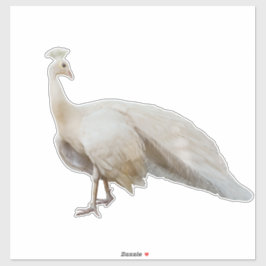 Weißpfau Aufkleber