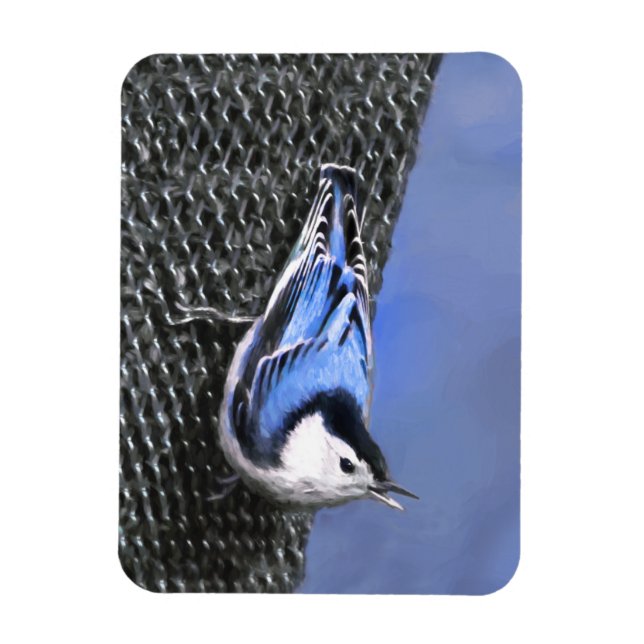 Weißreißer Nuthatch Malerei Original Vogelkunst Magnet (Vertikal)