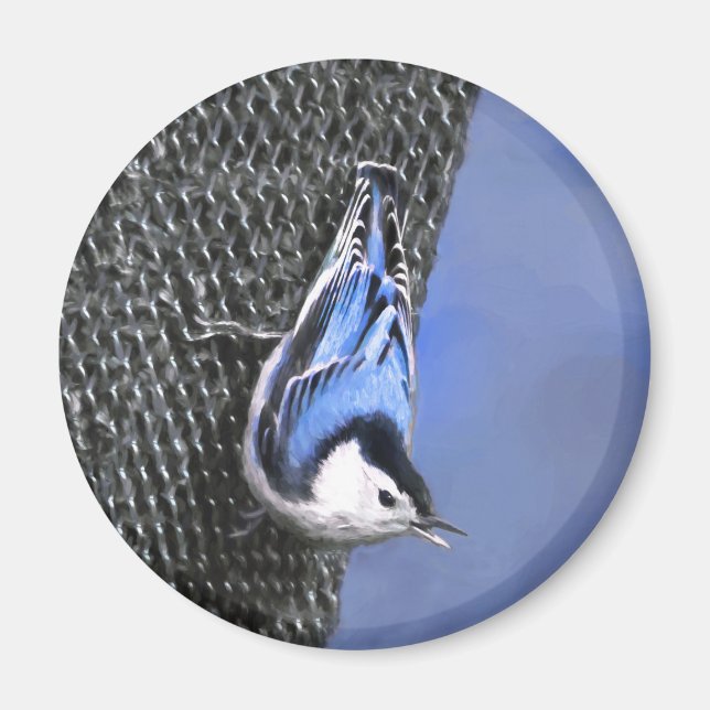 Weißreißer Nuthatch Malerei Original Vogelkunst Magnet (Vorne)