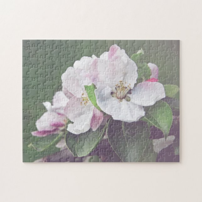 Weißrosa Blossom blühender Apfelbaum Puzzle (Horizontal)